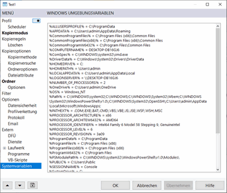 AllSync Profileigenschaften - Windows Umgebungsvariablen